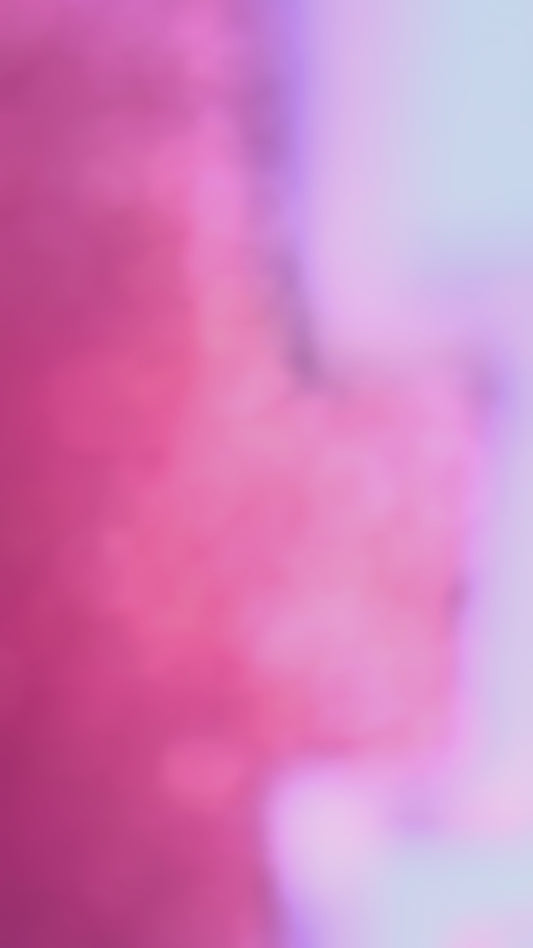 Princess 4 Ever Birthday Tutu Outfit