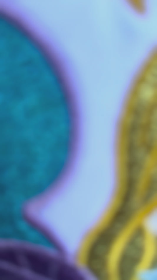 Mermaid Birthday Tutu Outfit